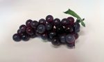 Szőlőfürt - 45 szemes hamvas lila (mű)
