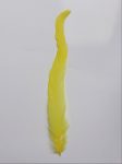 Kakasfarok toll 15 cm citrom sárga