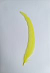 Kakasfarok toll 22-28  cm citrom sárga