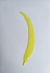 Kakasfarok toll 22-28  cm citrom sárga