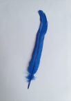 Kakasfarok toll 22-28  cm király kék