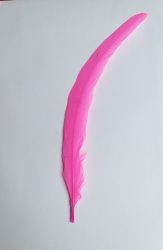 Kakasfarok toll 22-28  cm pink