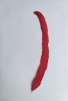 Kakasfarok toll 22-28  cm piros
