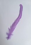 Kakasfarok toll 22-28  cm világos lila