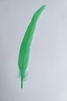 Kakasfarok toll 22-28  cm világos zöld