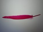 Lúdtoll 15-18 cm pink színben