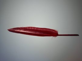 Lúdtoll 15-18 cm piros színben