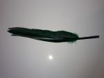Lúdtoll 15-18 cm sötét zöld színben