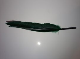 Lúdtoll 15-18 cm sötét zöld színben