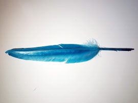 Lúdtoll 15-18 cm türkiz kék színben