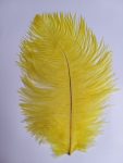 Strucctoll 25-27 cm sárga_