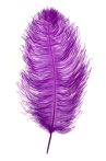 Strucctoll 55-60 cm sötét lila