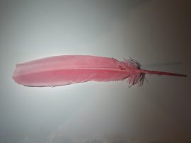 Pulykatoll 32-34 cm rózsaszín színben